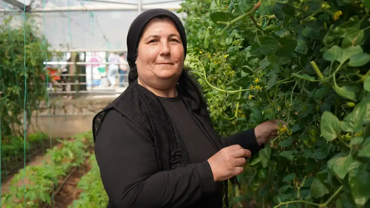 Akdeniz Üniversitesi’nde 'Maaşlı Terapi' Dönemi 7